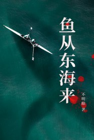 鱼从东海来 txt