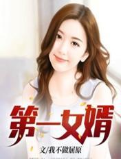 第一女婿大结局